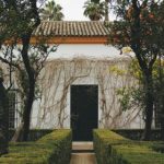 探讨梅根·马克尔的生活与影响力:从王室到自我重塑之路 53b63