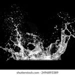 探讨终点论坛中的galgame遗产与文化影响 9jhmxy7