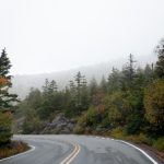 最新动态:深入解析Clicli News背后的故事与趋势 jxe79dy