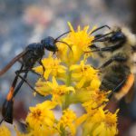 探讨不卡影院伦理:数字时代的观影道德与责任 koyohg9f